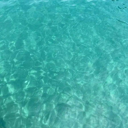 La Via Al Mare - Portofino In Battello Da Nervi