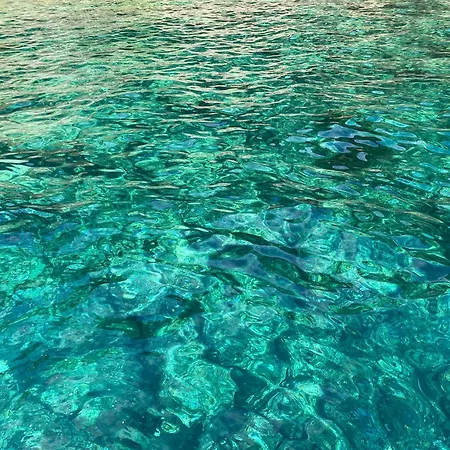 公寓 La Via Al Mare - Portofino In Battello Da Nervi 热那亚