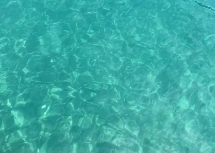La Via Al Mare - Portofino In Battello Da Nervi