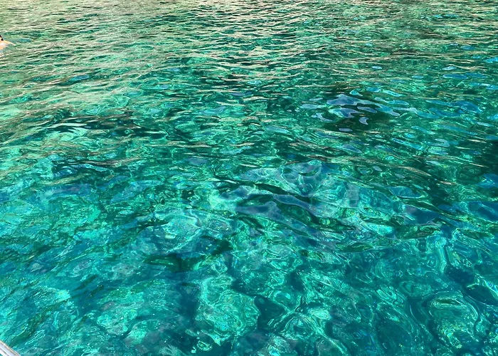公寓 La Via Al Mare - Portofino In Battello Da Nervi 热那亚