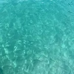 La Via Al Mare - Portofino In Battello Da Nervi