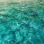 Apartmán La Via Al Mare - Portofino In Battello Da Nervi Janov