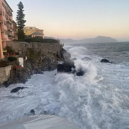 La Via Al Mare - Portofino In Battello Da Nervi * Γένοβα